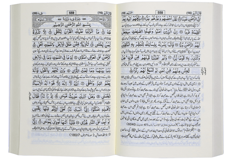 Tafsir Ahsan-ul-Kalam (Urdu) Pocket Plus- Urdu -10X15