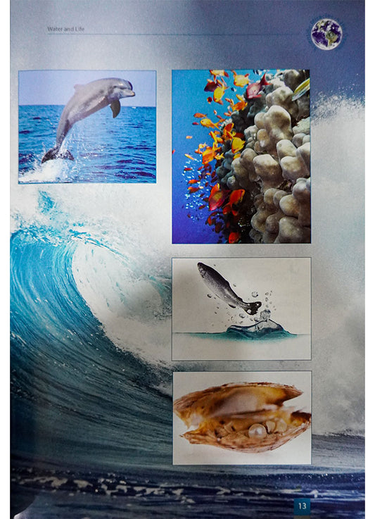 Scientific Miracles in the Oceans and Animals by Yusuf Al-Hajj Ahmad at Darussalam.