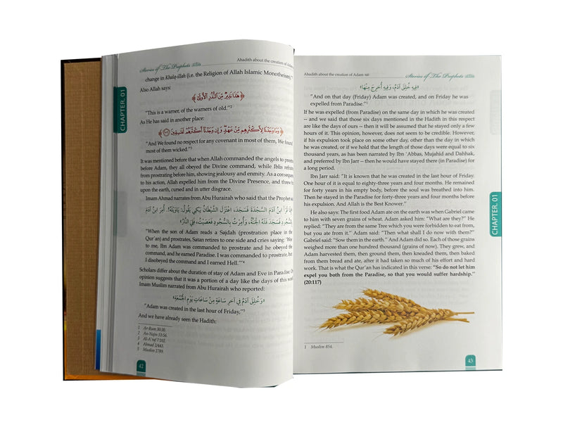 Stories of the Prophets - Ibn Kathir - 4 colours