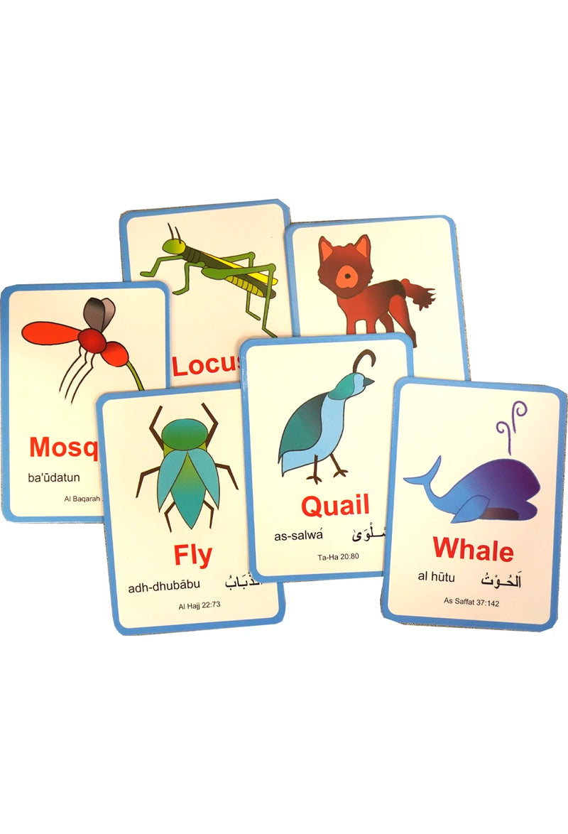 Animals In The Quran Snap Cards Flashcards