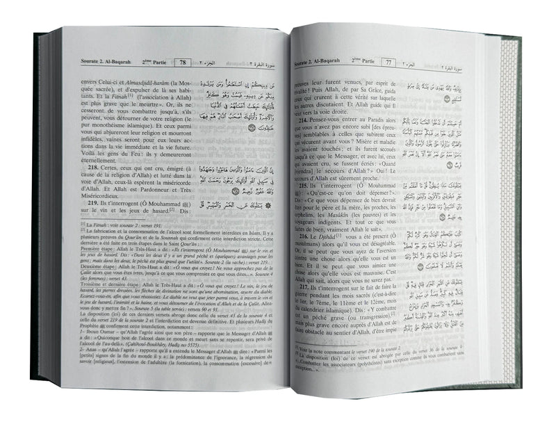 Interpretation of the Meanings of Noble Quran- French Language