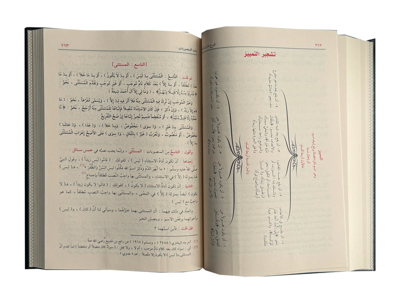 Sharah Shzur Alzahab (Arabic Language) شرح شذور الذهب