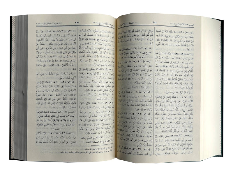 Summarized Sahih Muslim - Arabic