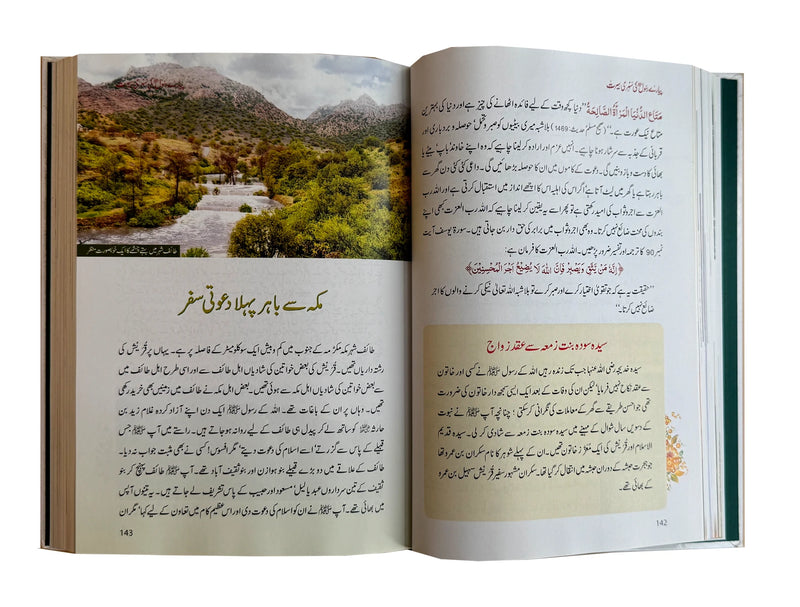 Sunehri Seerat- New Coloured Edition - نوجوان نسل کے لئے سنہری سیرت
