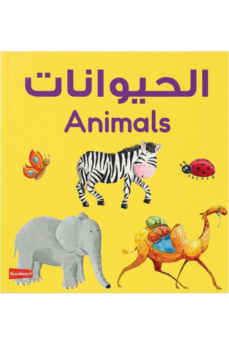 Animals Board Book - English
