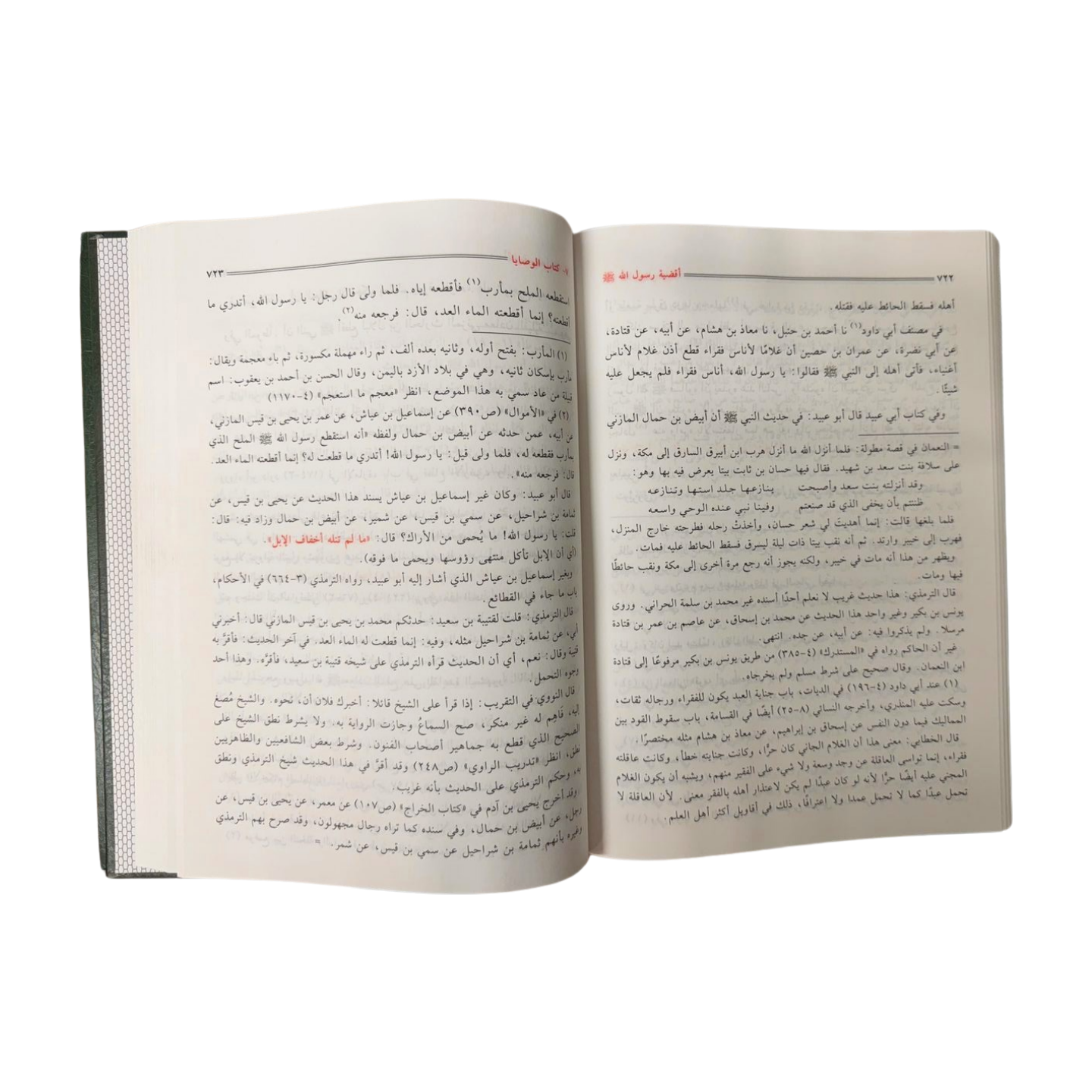 Aqdiya tu Rasool Allah (2 Volume Set)- Arabic- اقضية رسول الله