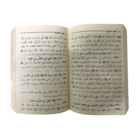 Mukhtasar Sahih Muslim - Arabic Pocket Size - مختصر صحيح مسلم