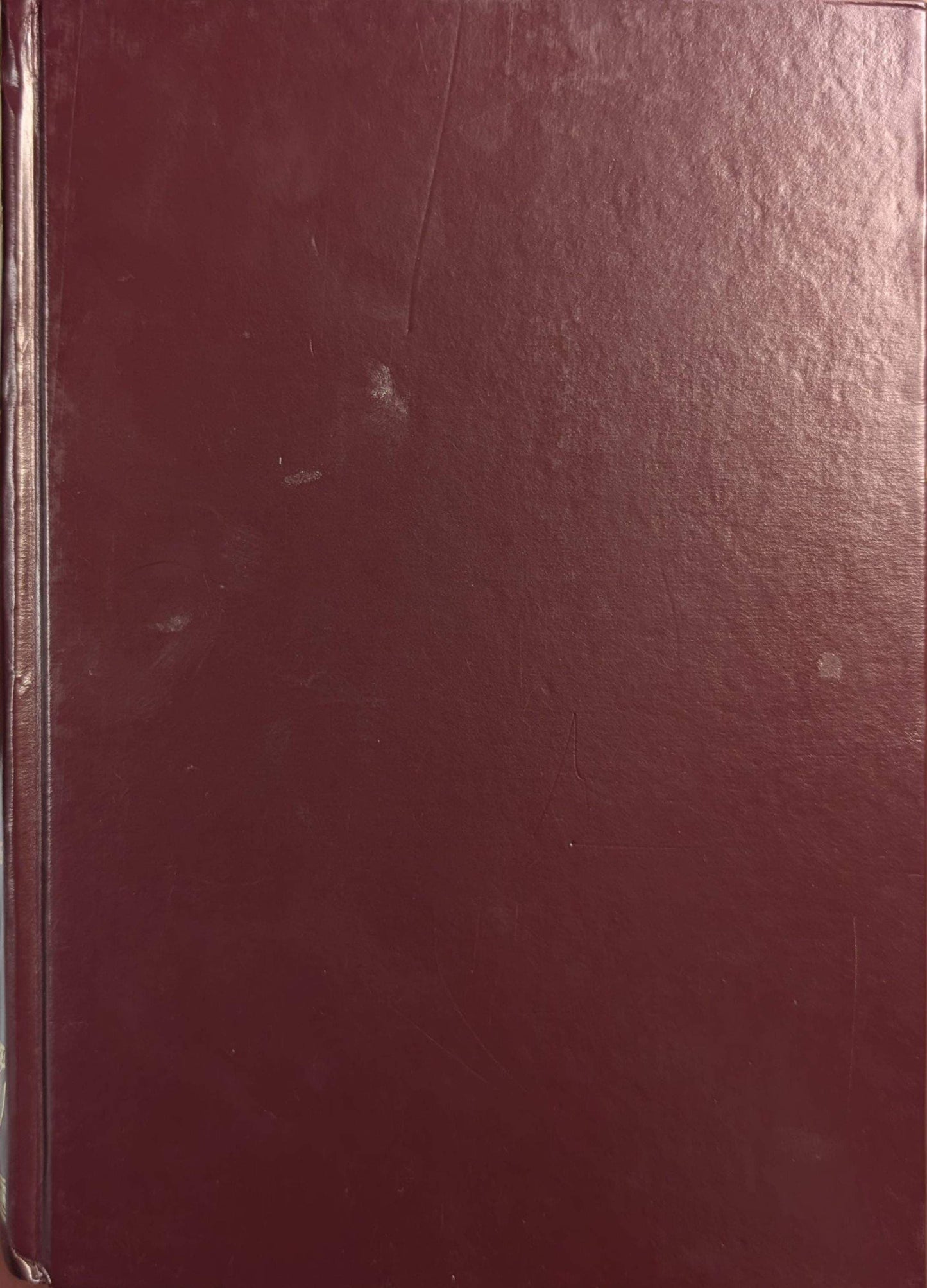 Study the Noble Qur’an – Word for Word With Translation (Single Volume) | Darussalam