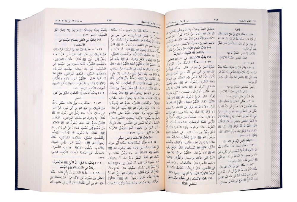 Summarized Sahih Al-Bukhari - Arabic