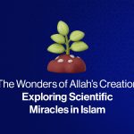 The Wonder of Allah's Creation: Exploring Scientific Miracles in Islam Blog featured image