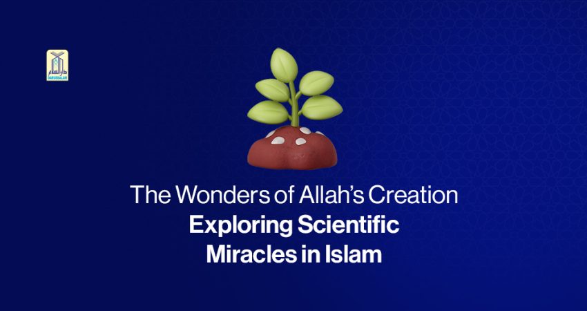 The Wonder of Allah's Creation: Exploring Scientific Miracles in Islam Blog featured image