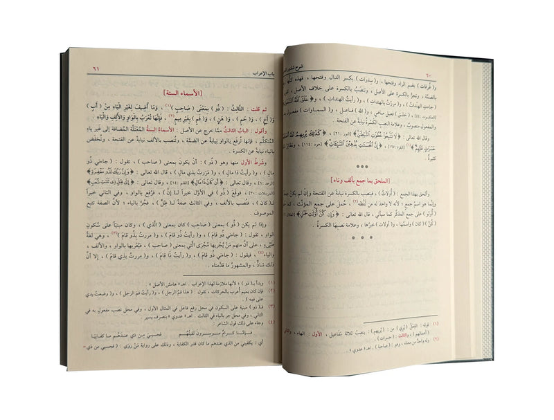 Sharah Shzur Alzahab (Arabic Language) شرح شذور الذهب
