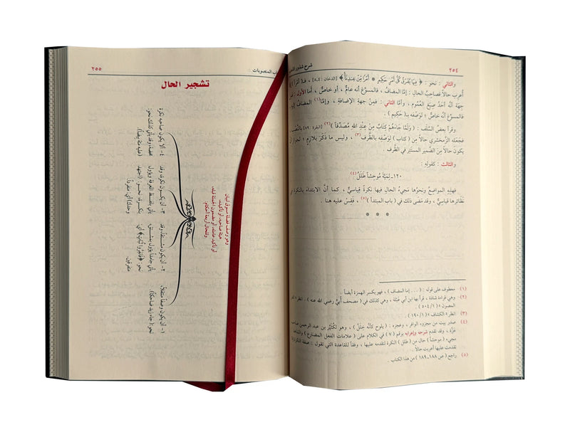 Sharah Shzur Alzahab (Arabic Language) شرح شذور الذهب