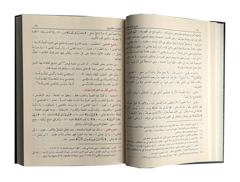Sharah Shzur Alzahab (Arabic Language) شرح شذور الذهب