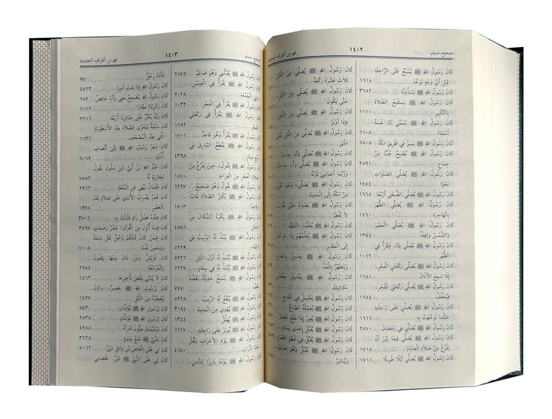 Summarized Sahih Muslim - Arabic