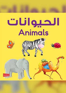 Animals Board Book - English