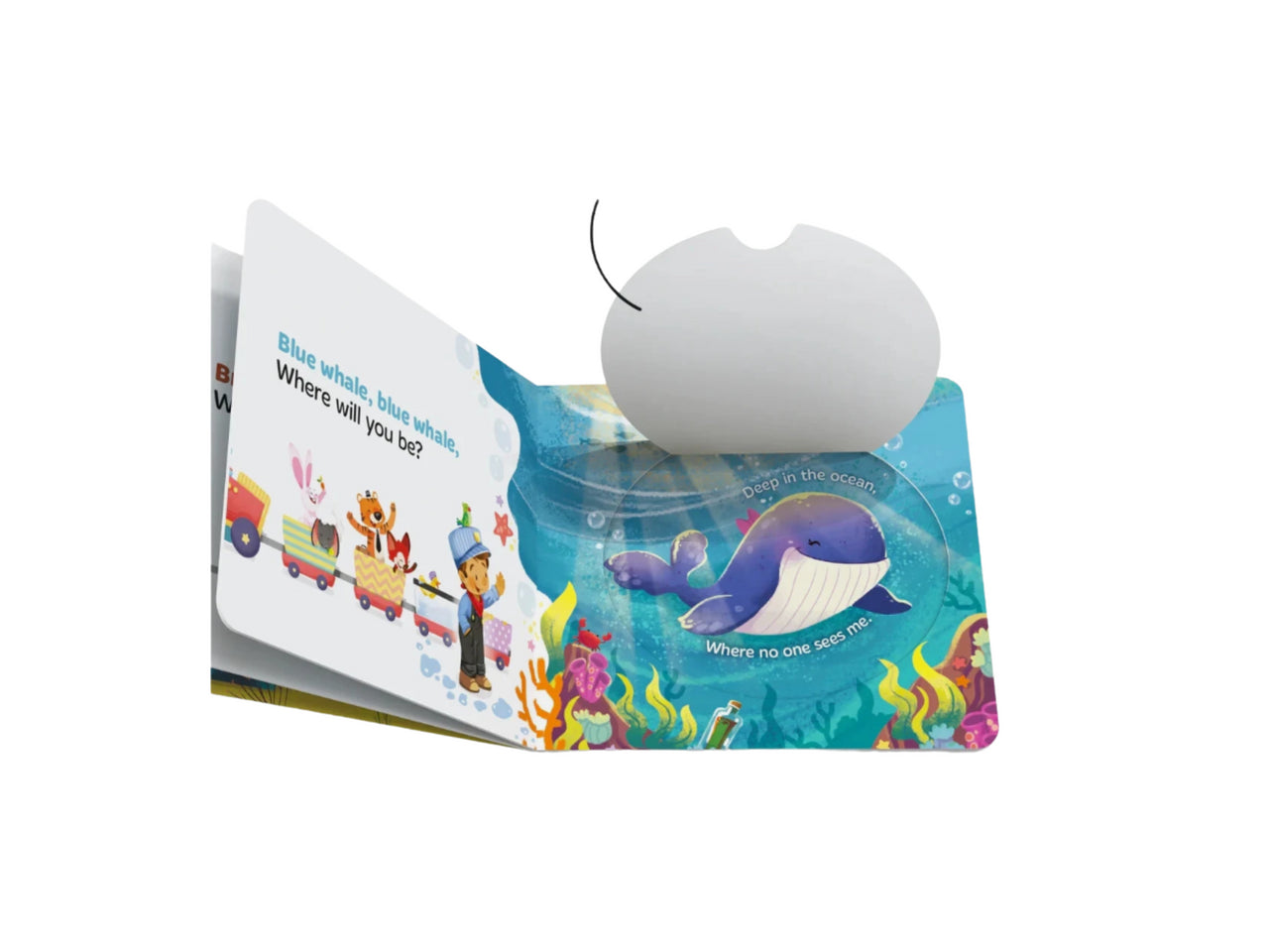 Allah Sees You and Me