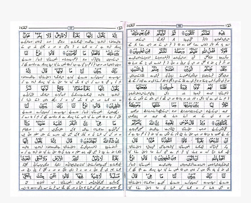 Para Set (30 Paras) – Urdu Script | 9 Lines | Word by Word with Urdu Translation | Darussalam پارہ سیٹ (30 پارے) – اردو رسم الخط | 9 سطریں | لفظ بہ لفظ ترجمہ کے ساتھ | دارالسلام