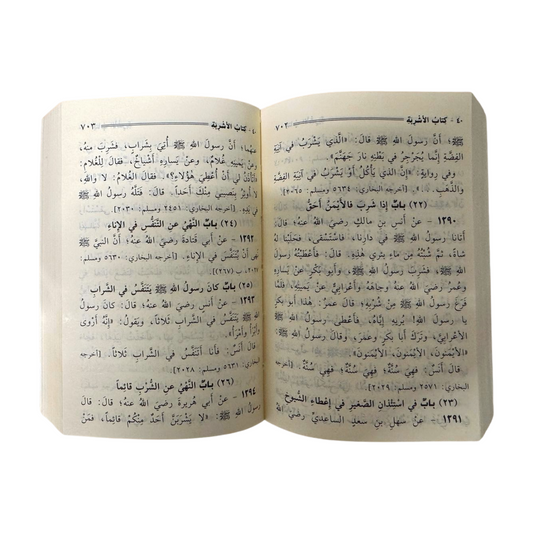 Mukhtasar Sahih Muslim -مختصر صحيح مسلم .