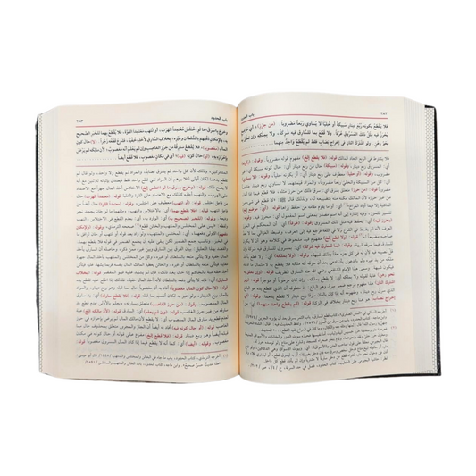 Hashiat 'iieanat al taalibin ealaa hali 'alfaz fath almueayan '4 volumes- حاشية إعانة الطالبين على حل ألفاظ فتح المعين أربع مجلدات
