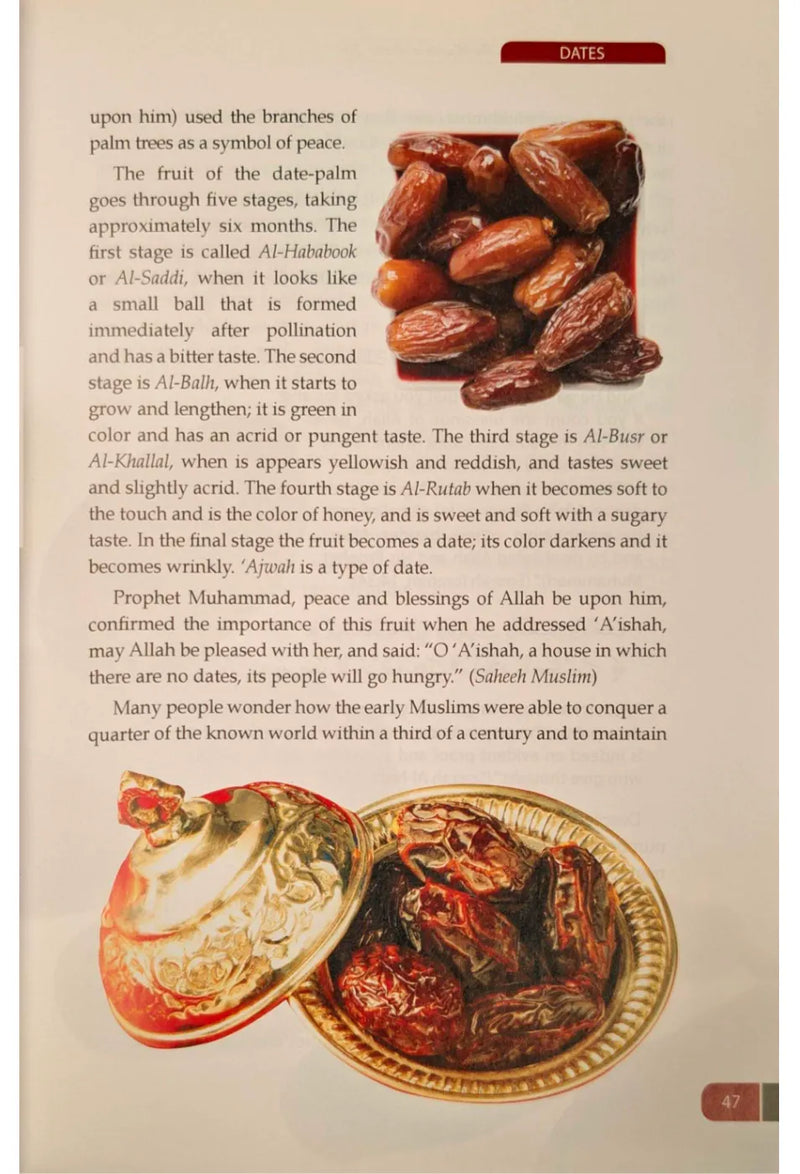 Islamic Medicine the Key to a Better Life