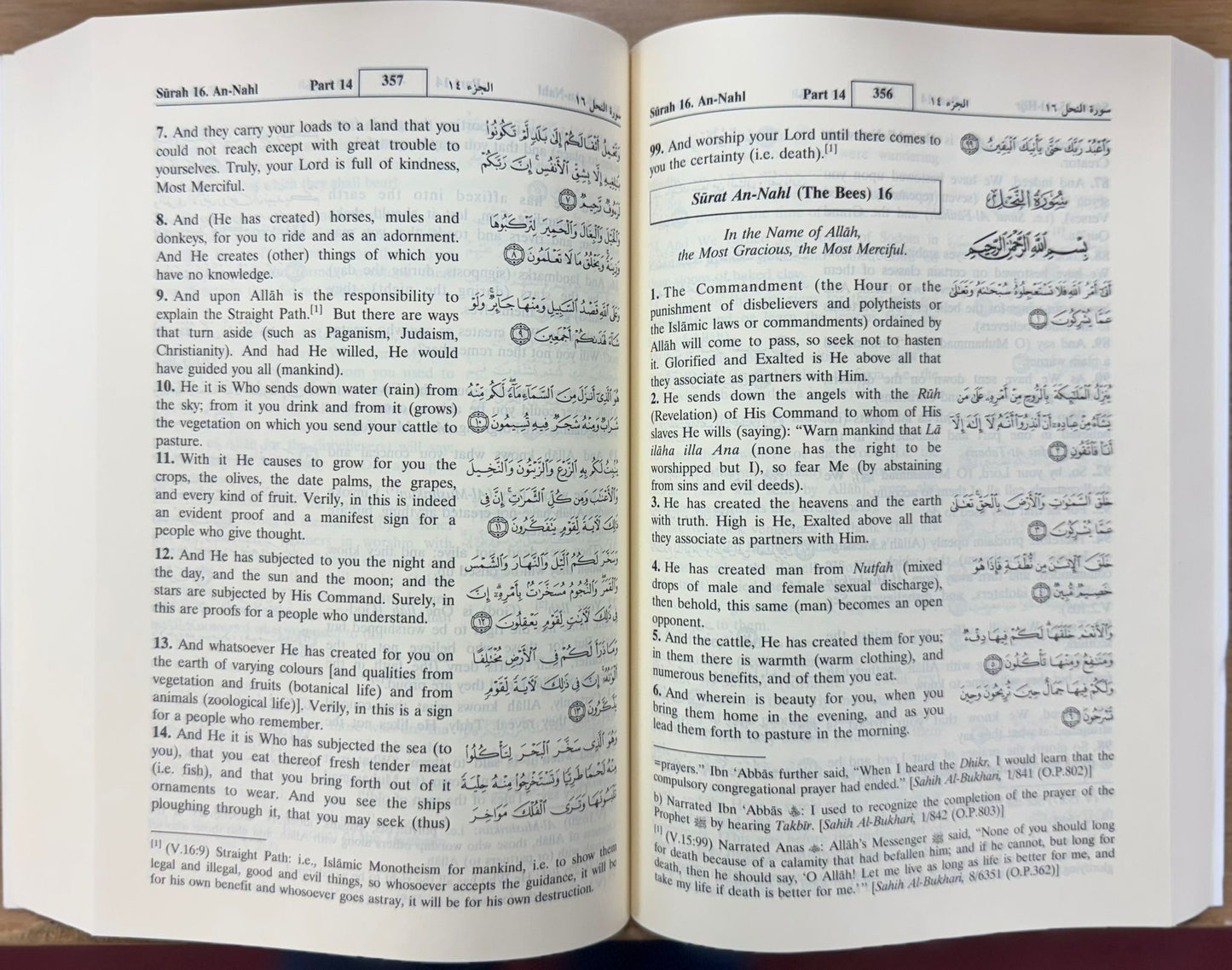 Interpretation of the Meanings of The Noble Quran (English)