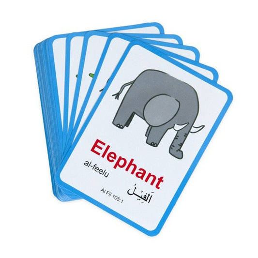 Animals In The Quran Snap Cards  Flashcards