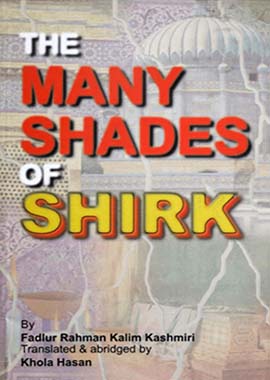 The many shades of shirk