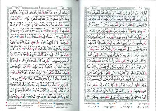 Tajweedi Quran with Rules in English & Urdu 15 lines