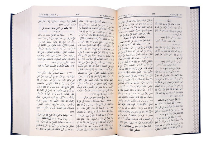 Summarized Sahih Al-Bukhari - Arabic
